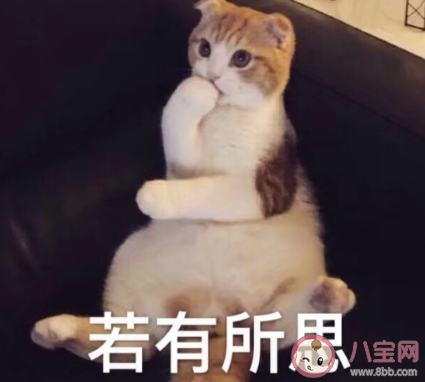 00后在憂慮什么事情 00后擔心的事情盤點 00后在憂慮什么事情 00后擔心的事情盤點