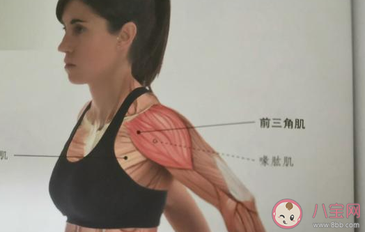 直角肩是一種病態嗎 直角肩和平肩溜肩的區別是什么