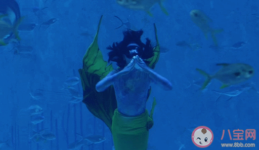 鐘曉芹美人魚表白是哪一集 鐘曉芹表白陳嶼哪一集