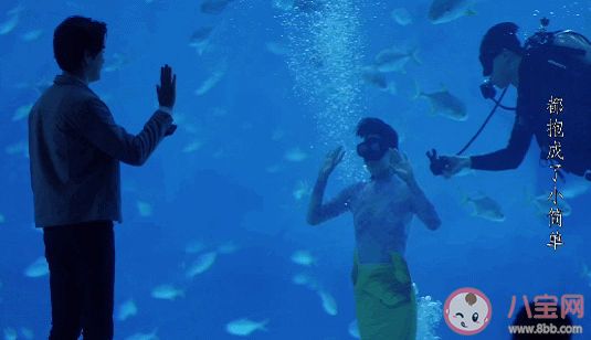 鐘曉芹美人魚(yú)表白是哪一集 鐘曉芹表白陳嶼哪一集