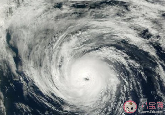 臺風黑格比的軌跡是怎樣的 臺風黑格比軌跡路線介紹