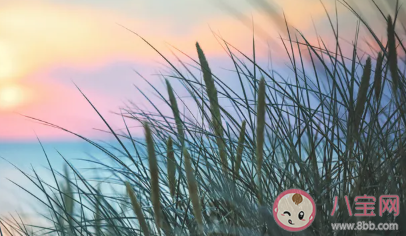 立秋文案怎么寫有創意 立秋創意文案合集 立秋文案怎么寫有創意 立秋創意文案合集