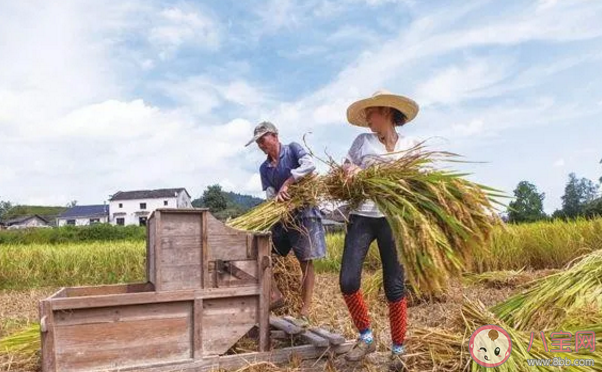 2020年立秋是早立秋還是晚立秋 2020年要熱到什么時候