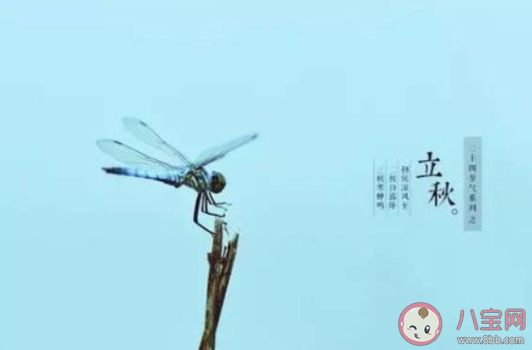 2020年立秋是早立秋還是晚立秋 2020年要熱到什么時候