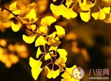 2020立秋是早秋還是晚秋 立秋后會變涼快嗎