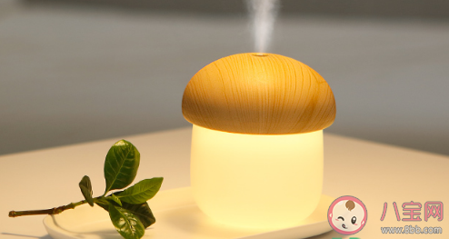 燒開的水可以放加濕器里嗎 加濕器為什么不能放自來水