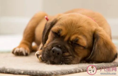 2020立秋節(jié)氣怎么養(yǎng)生 立秋后養(yǎng)生小常識(shí)