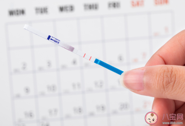 濾泡期/黃體期/月經期/排卵期怎么區分 分別是什么日子