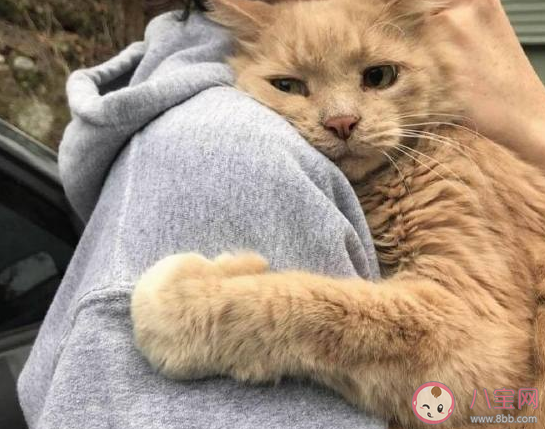 好想放假休息搞笑圖片文案 好困想睡覺幽默朋友圈說說