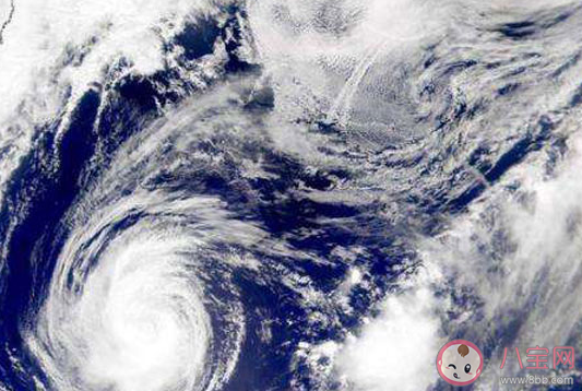 2020年5號臺風薔薇生成是什么時候 臺風來臨如何保護好好自己