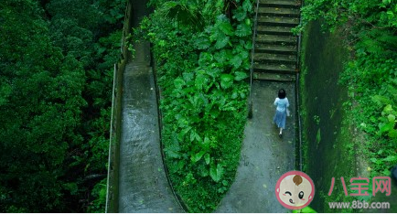 《第一爐香》角色人物劇照 《第一爐香》故事背景是什么