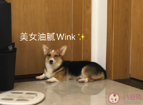 關于想放假的說說心情短語 非常想放假幽默搞笑說說