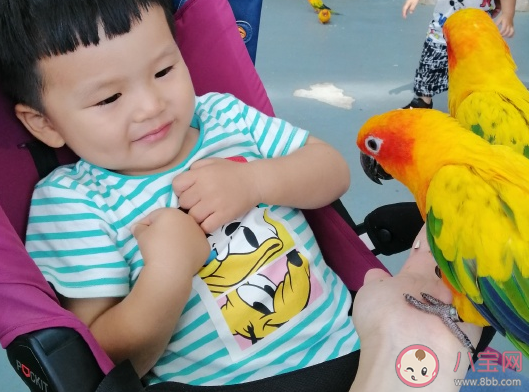 關于兒子自己洗衣服的心情說說 孩子自己洗衣服的感言句子