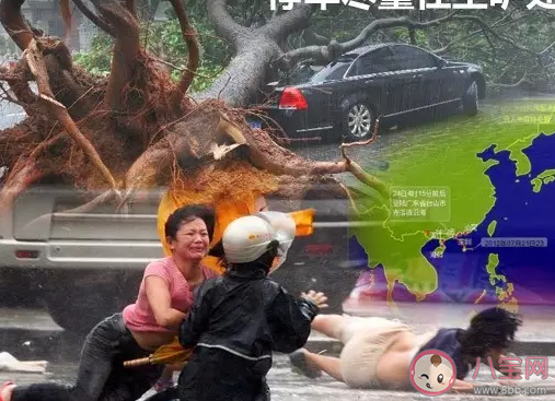 臺風天氣外面車停在哪里比較好 臺風來了車怎么停安全