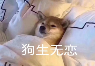 好想放假休息搞笑圖片文案 好困想睡覺幽默朋友圈說說