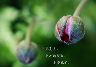 2020夏天再見秋天你好圖片唯美文案句子 2020夏天再見秋天你好發朋友圈圖片說說