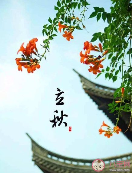 今日立秋早安簡短一句話說說 今日立秋早安朋友圈句子 今日立秋早安簡短一句話說說 今日立秋早安朋友圈句子