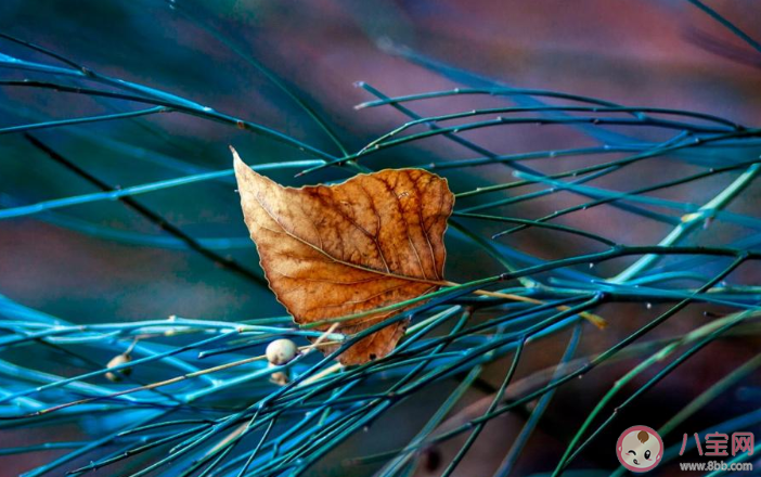 2020夏天再見秋天你好圖片唯美文案句子 2020夏天再見秋天你好發朋友圈圖片說說 2020夏天再見秋天你好圖片唯美文案句子 2020夏天再見秋天你好發朋友圈圖片說說