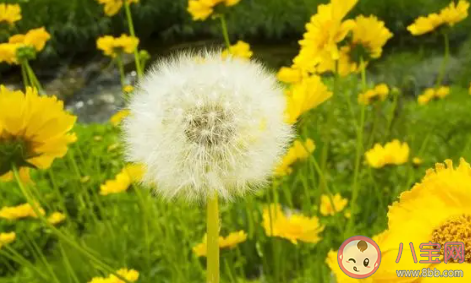 喜歡秋天的說說句子 描寫秋天的優(yōu)美句子大全