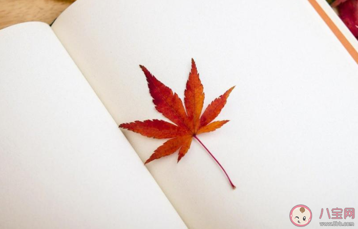 秋風習習的唯美文案說說 秋風的心情語錄句子 秋風習習的唯美文案說說 秋風的心情語錄句子