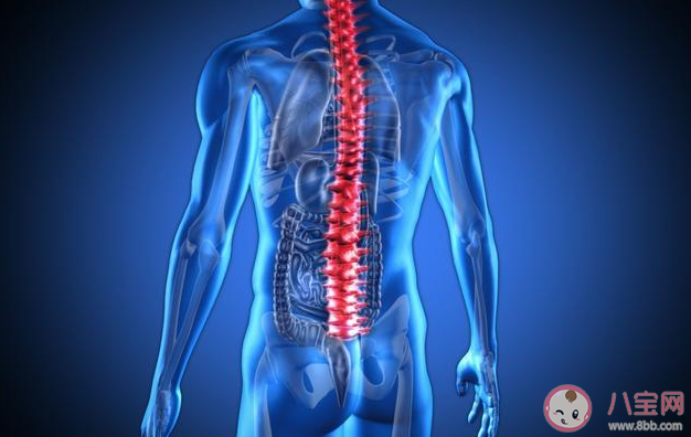 強直性脊柱炎生孩子有什么影響 停藥多久可以備孕