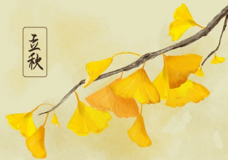 今日立秋早安簡短一句話說說 今日立秋早安朋友圈句子
