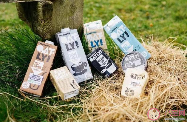 燕麥奶里面有牛奶嗎 燕麥奶適合什么人群