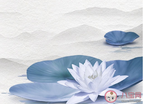 2020處暑節氣圖片個性文案句子 2020處暑節氣個性文案說說配圖 2020處暑節氣圖片個性文案句子 2020處暑節氣個性文案說說配圖