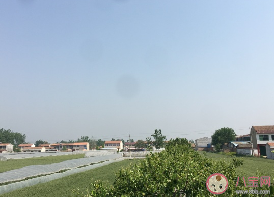 關(guān)于想爺爺奶奶了的說說心情短語 想念爺爺奶奶發(fā)朋友圈文案 關(guān)于想爺爺奶奶了的說說心情短語 想念爺爺奶奶發(fā)朋友圈文案