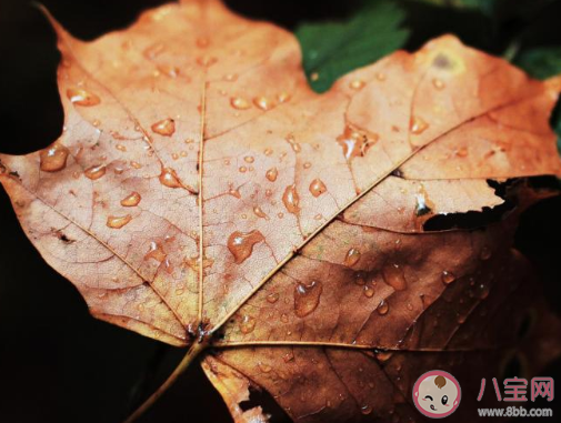 第一場秋雨圖片發朋友圈句子 第一場秋雨朋友圈圖片說說 第一場秋雨圖片發朋友圈句子 第一場秋雨朋友圈圖片說說