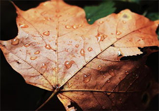 第一場秋雨圖片發(fā)朋友圈句子 第一場秋雨朋友圈圖片說說