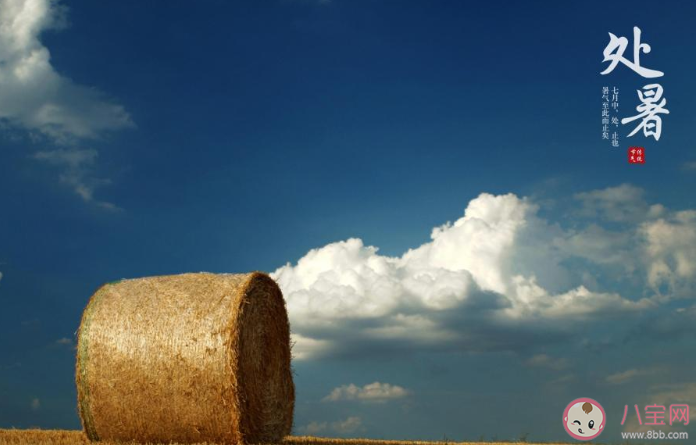 2020處暑節氣早安心語圖片發朋友圈 2020處暑早上好圖片文案說說大全 2020處暑節氣早安心語圖片發朋友圈 2020處暑早上好圖片文案說說大全