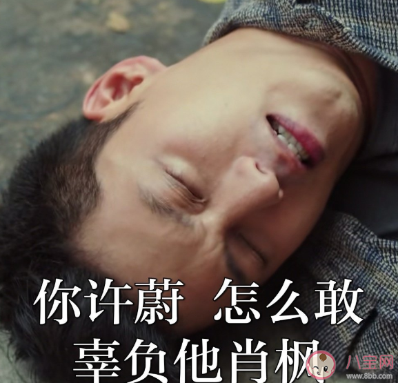 穿越火線許蔚最后坐牢了 許蔚最后大結局是什么