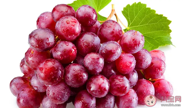 立秋后適合吃什么水果 適合秋天吃的水果推薦