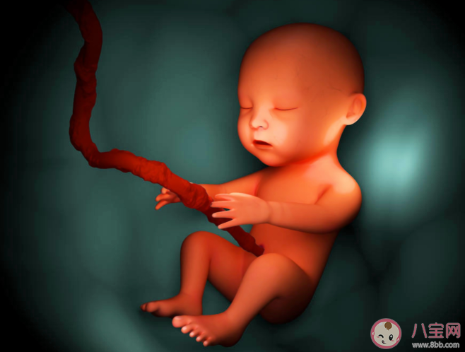 胎兒臍帶繞頸能自己繞出來(lái)嗎 什么情況可以繞出來(lái)