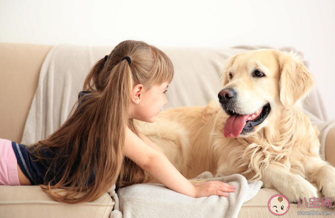 怎么根據孩子年齡養寵物 適合孩子養的寵物有哪些