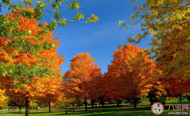 2020處暑節氣圖片暖心問候語文案大全 2020處暑節氣送祝福的暖心說說帶圖