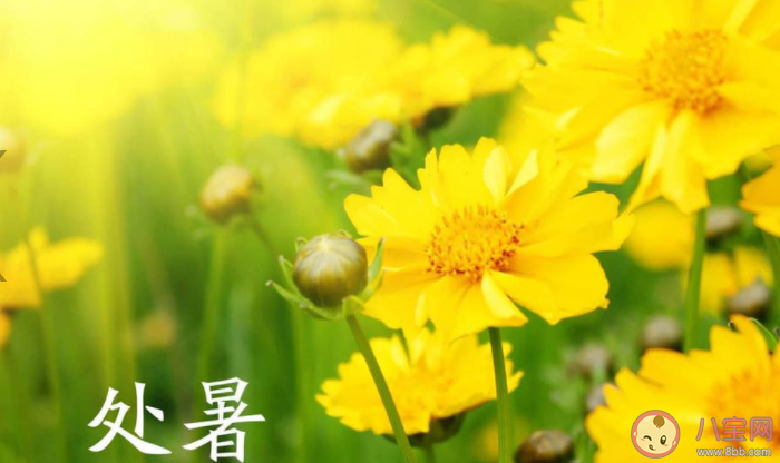 2020處暑節氣圖片暖心問候語文案大全 2020處暑節氣送祝福的暖心說說帶圖