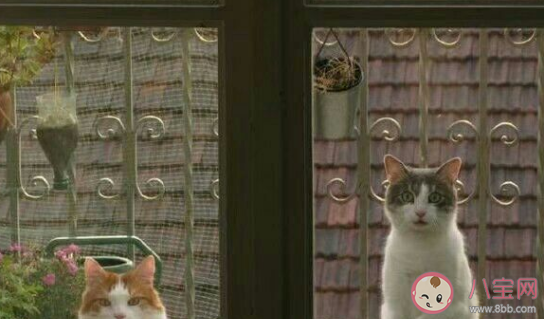 超甜超可愛的早安問候語 怎么說早安最撩人