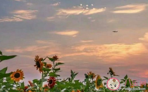 超甜超可愛(ài)的早安問(wèn)候語(yǔ) 怎么說(shuō)早安最撩人