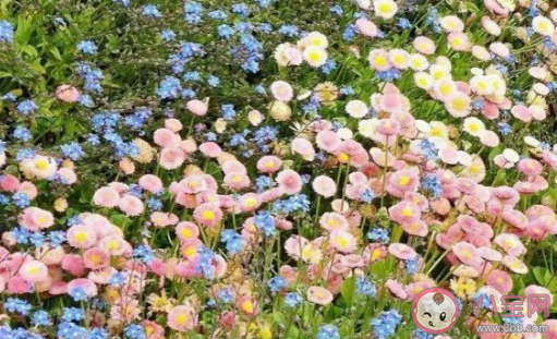 超甜超可愛(ài)的早安問(wèn)候語(yǔ) 怎么說(shuō)早安最撩人