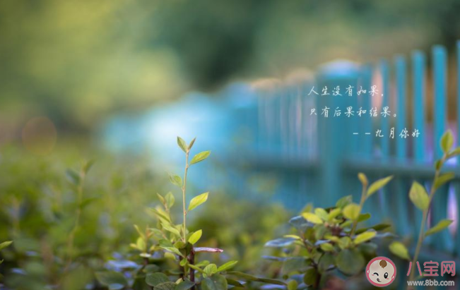 2020八月最后一天工作的朋友圈說說 2020八月最后一天工作發(fā)朋友圈