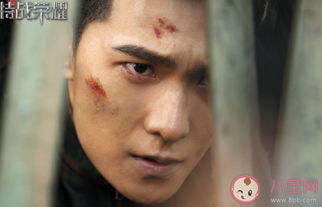 特戰榮耀什么時候播 特戰榮耀上映時間