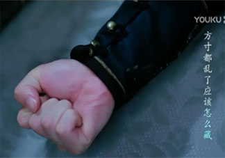 司鳳拳頭硬了是什么意思 司鳳拳頭硬了什么梗