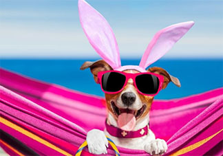 一個(gè)人過(guò)七夕傷感的朋友圈心情句子 七夕一個(gè)人過(guò)的傷心說(shuō)說(shuō)分享