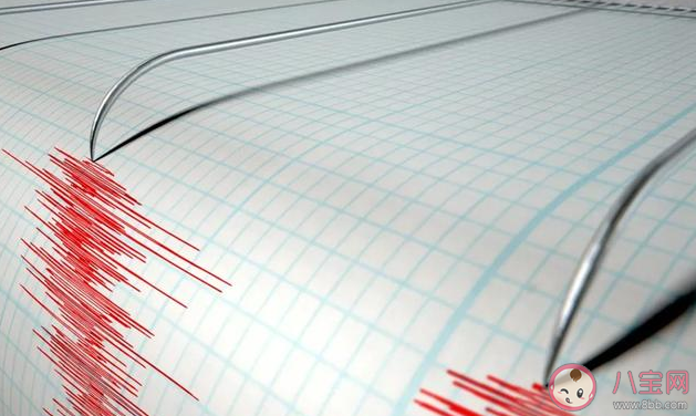 測謊結(jié)果可以作為合法證據(jù)使用嗎 不屬于合法證據(jù)形式