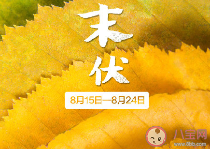 三伏天快過去了心情說說 三伏天快過去了感慨句子