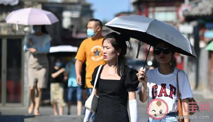 三伏天快過去了心情說說 三伏天快過去了感慨句子