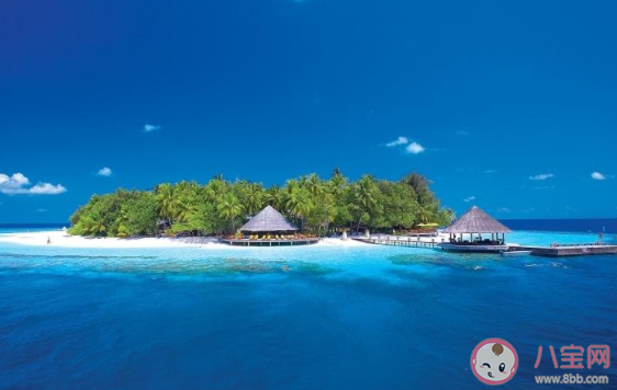 你是藏在微風里的歡喜走過了四季是什么歌 《無人島》完整版歌詞在線聽歌