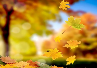 形容秋天很文藝的朋友圈文案句子 適合秋天發朋友圈的文案說說大全